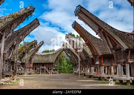 Tongkonan Häuser, traditionelle Toraja Gebäude, Tana Toraja, Sulawesi, Indonesien Stockfoto