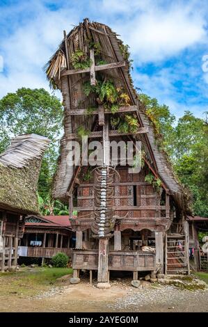 Tongkonan Häuser, traditionelle Toraja Gebäude, Tana Toraja, Sulawesi, Indonesien Stockfoto