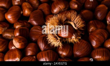 Reife Kastanien hautnah. Raw Kastanien für Weihnachten. Frische Kastanien. Essen Hintergrund Stockfoto