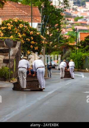 Rodelbahn Mitfahrer auf Schlitten in Monte - Funchal Madeira Portugal Stockfoto