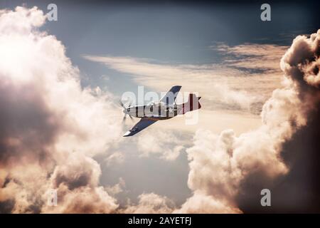 North American P51D Mustang 'Tall In The Saddle' der Hanger 11 Collection over Newtownards, 5. August 2015 Stockfoto