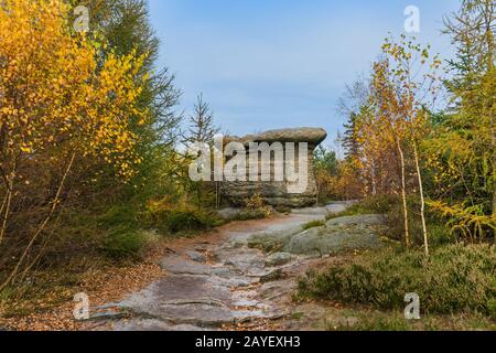 Stein Pilz in Adrspach-Teplice Naturpark in der Tschechischen Stockfoto