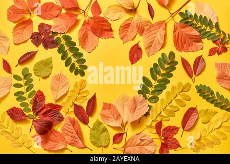 Bunte Blätter grüßen Herbstrahmen mit weichen Schatten. Stockfoto