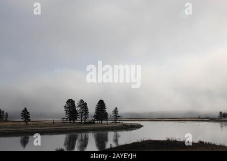 Einige Bäume reflektieren im Wasser im Morgennebel im yellowstone-nationalpark Stockfoto