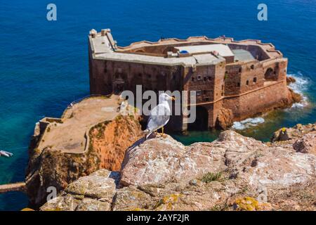 Festung in Berlenga Insel - Portugal Stockfoto