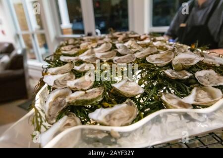 Frische Rohaustern-Bar bei einer Event-Party Stockfoto