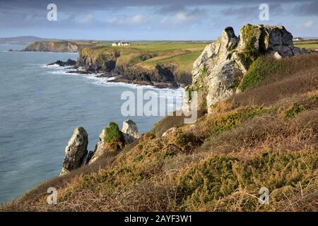 Felsen über der Polurrian Cove, in der Nähe von Mullion in Cornwall. Stockfoto