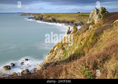 Felsen über der Polurrian Cove, in der Nähe von Mullion in Cornwall. Stockfoto