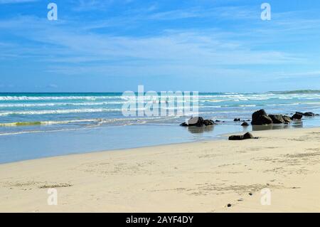 Tortuga Bay Santa Cruz Galapagos Stockfoto