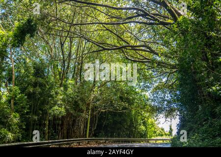 Ein weiter Weg auf der Straße von in Maui, Hawaii Stockfoto