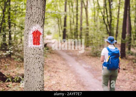 Wanderweg im Wald. Markierung der Touristenstrecke auf dem Baum. Touristenwegschild. Wegweiser. Touri Stockfoto