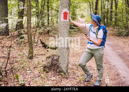 Wanderweg im Wald. Markierung der Touristenstrecke auf dem Baum. Touristenwegschild. Wegweiser. Touri Stockfoto