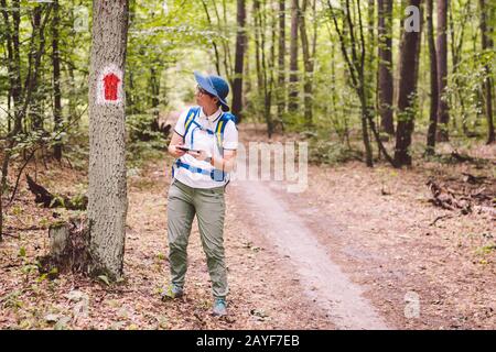 Wanderweg im Wald. Markierung der Touristenstrecke auf dem Baum. Touristenwegschild. Wegweiser. Touri Stockfoto