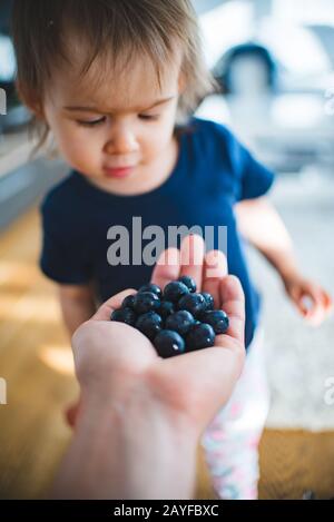 Liebenswerliches Baby freut sich, die Hand voll mit Blaubeeren zu sehen. Porträt des 1 - 2 Jahre alten Mädchens. Stockfoto