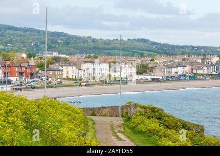 Bray Cliff Walk im County Wicklow Stockfoto