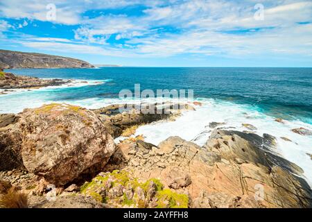 Malerischer Blick auf die Kangaroo Island Küste mit Sea Lions auf den Felsen, South Australia Stockfoto