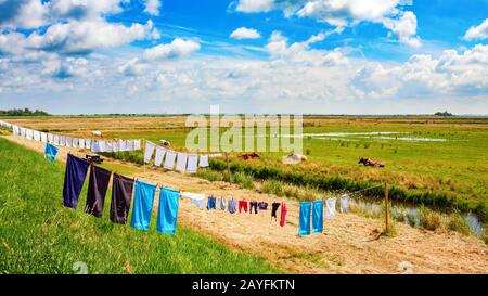 Typische holländische flache Polderlandschaft mit Wäsche auf einer Wäscheleine, die in der Sonne trocknet. Waterland, Nordholland, Niederlande. Stockfoto