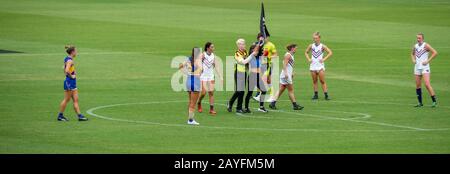 Right To Rescue Protester bei AFLW West Coast Eagles und Fremantle Dockers Derby Game im Optus Stadium Burswood Perth WA Australia Stockfoto