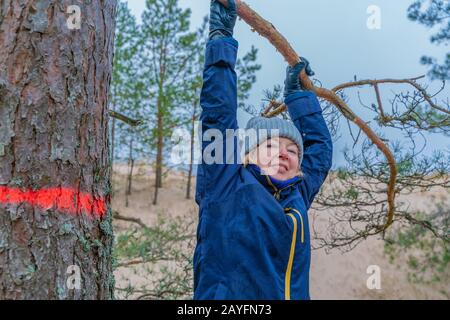 Lächelnde, reife Frau, die an einem Ast hängt. Frauen klettern im Baum Winter im Freien Stockfoto