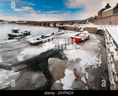 Winter in Englands nordöstlichster Stadt Berwick on Tweed Stockfoto