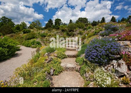 , Botanischer Garten in München, Deutschland, Bayern, München Stockfoto