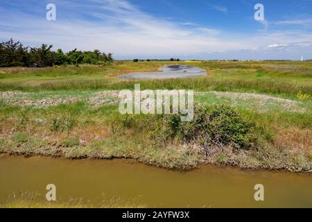 , Salinen auf Ile de Noirmoutier, Frankreich, Pays de la Loire Stockfoto