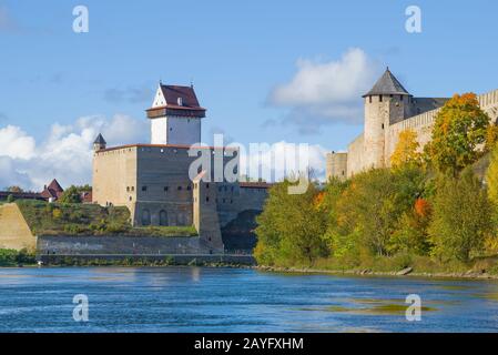 Estnische Burg Herman auf der russischen Festung Ivangorod im goldenen Herbst. Die Grenze Estlands und Russlands Stockfoto