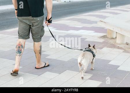 16. JULI 2018, TARRAGONA, SPANIEN: Mann, der mit seinem Pughund spazieren geht Stockfoto