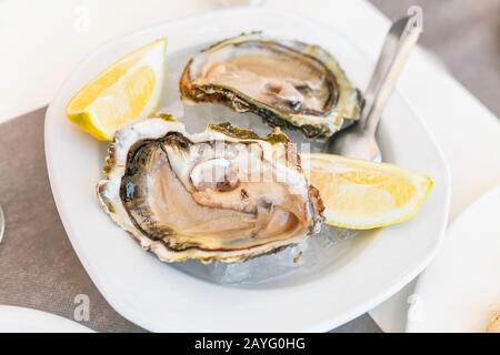 Austern auf dem Teller im Restaurant mit Zitrone Stockfoto