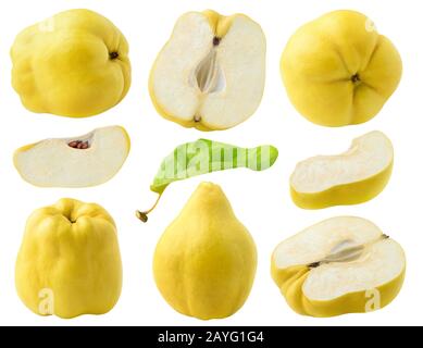 Isolierte Queinenfrüchte. Sammlung von ganzen Quince Früchten und in Stücke verschiedener Formen geschnitten, isoliert auf weißem Hintergrund mit Beschneidungspfad Stockfoto