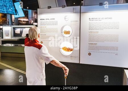 28. JULI 2018, BARCELONA, SPANIEN: Besucher, der den Bernstein mit einem Insekt im Museum betrachtet Stockfoto