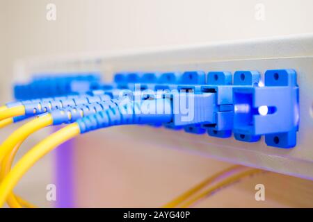 Batchkabel werden im Rahmen der optischen Glasfaserverteilung angeschlossen. Das Konzept der Hochgeschwindigkeits-Internetverbindung. Selektiver Fokus Stockfoto