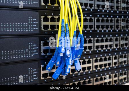 Auf den Manager-Switches befindet sich ein Bündel optischer Internetkabel. Ein Bündel von Glasfaserkabeln befindet sich im Hintergrund leerer Ports von Server Equip Stockfoto