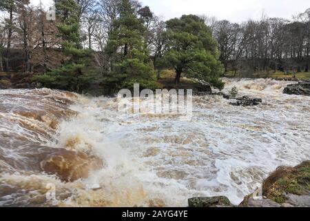 Der River Tees bei Low Force Während Storm Ciara, Bowlees, Teesdale, County Durham, Großbritannien Stockfoto