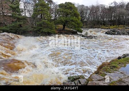 Der River Tees bei Low Force Während Storm Ciara, Bowlees, Teesdale, County Durham, Großbritannien Stockfoto