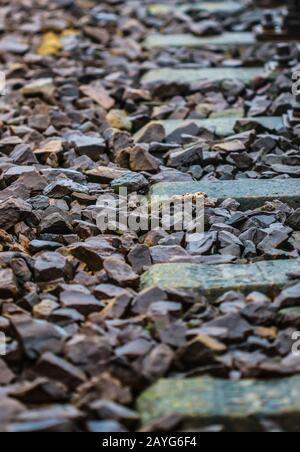 Bahnbett Kies und Betonbahn Hintergrund Stockfoto
