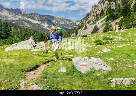 Junge Frau, die in den Bergen mit Rucksack und Trekkking-Stöcken wandert. Routenkonzept für Bergwanderwege Stockfoto