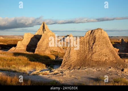 SD00109-00...SOUTH DAKOTA - Kragen im Grasland der Great Plains im Badlands National Park. Stockfoto