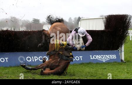 Traffic Fluide, von Joshua Moore geritten, ist ein faller im Betfair Ascot Steeple Chase während Des Betfair Ascot Chase Raceday auf der Ascot Racecourse. Stockfoto