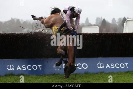 Traffic Fluide, von Joshua Moore geritten, ist ein faller im Betfair Ascot Steeple Chase während Des Betfair Ascot Chase Raceday auf der Ascot Racecourse. Stockfoto