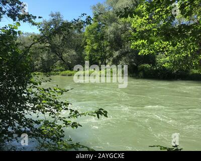 Der Kanal von Aare im Uferwald ist in der Sommerzeit in der Nähe der Stadt Brugg, Schweiz, mit grünem Regenwasser überlaufen. Stockfoto