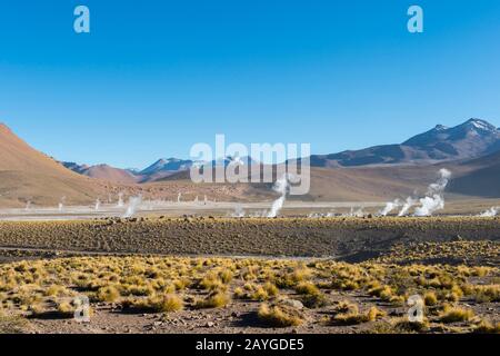 Dampf, der aus heißen Quellen im geothermischen Becken El Tatio Geysers nahe San Pedro de Atacama in der Atacama-Wüste im Norden Chiles steigt. Stockfoto