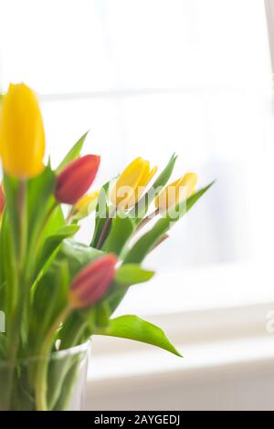 Rote und gelbe Tulpen in Vase auf der Fensterbank hell, im Landhausstil, im Sonnenlicht, Blumenstrauß für die Osterdekoration vor offenem Hintergrund mit Kopie Stockfoto