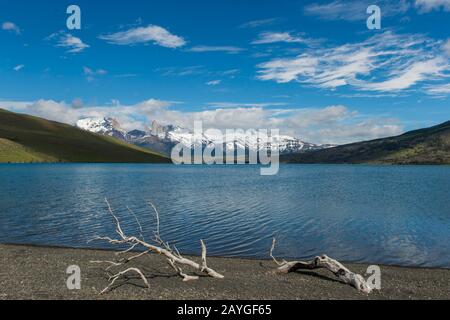 Blick auf die Paine Towers von der Laguna Azul mit Baumzweig am Strand im Nationalpark Torres del Paine in Patagonien, Chile. Stockfoto