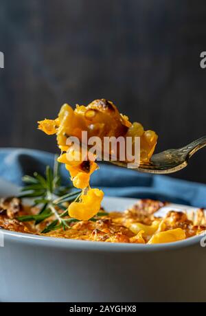 Gebackene Makkaroni und Käse in weißer Ofenform. Stockfoto