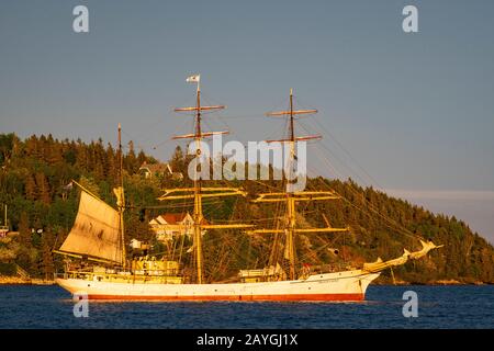 Barque Picton Castle unterwegs im Hafen von Lunenburg, Nova Scotia, Kanada. Stockfoto