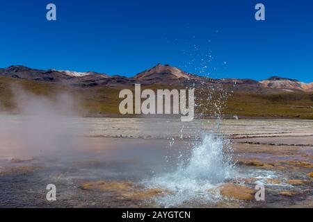 Eine sprudelnde heiße Quelle im Geothermie-Becken El Tatio Geysers, das sich in der Nähe von San Pedro de Atacama in der Atacama-Wüste im Norden Chiles befindet. Stockfoto