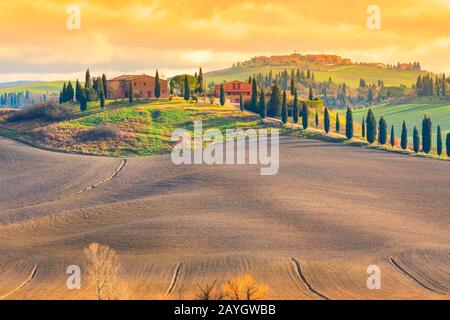 Toskana, Crete Senesi ländliche Sonnenuntergangslandschaft. Ländlicher Bauernhof, Bäume, grünes Feld, Sonnenschein auf dem Hügel. Siena, Italien. Stockfoto