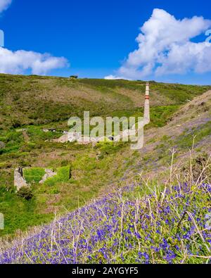 Ehemalige Arsen arbeiten im Kenidjack Valley in der Nähe von St Just Cornwall England UK Europe Stockfoto