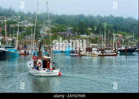 Newport, Oregon, USA - 23. August 2015: Ein Fischer pilotst seinen boart in den Yachthafen an der Yaquina Bay in Newport an der Küste von Oregon Stockfoto
